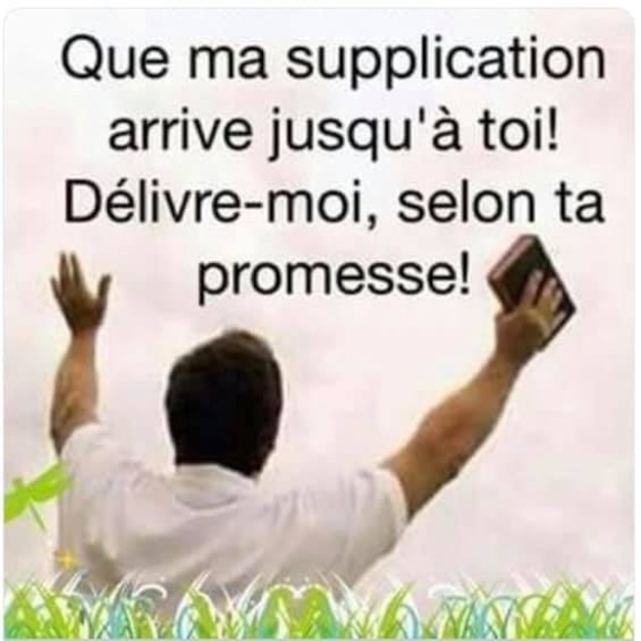 Meet your Posher, Regine - Picture 1 of 1